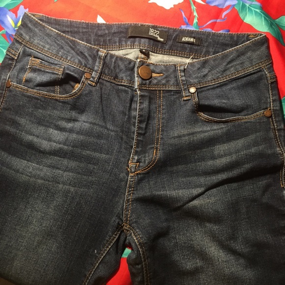 1822 DENIM ADRIANNA Ankle Skinny Jeans STRETCH GUC - Picture 3 of 5